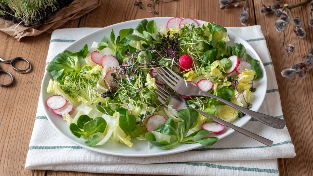 A colorful salad made with purple radish microgreens, and other fruits in a plate