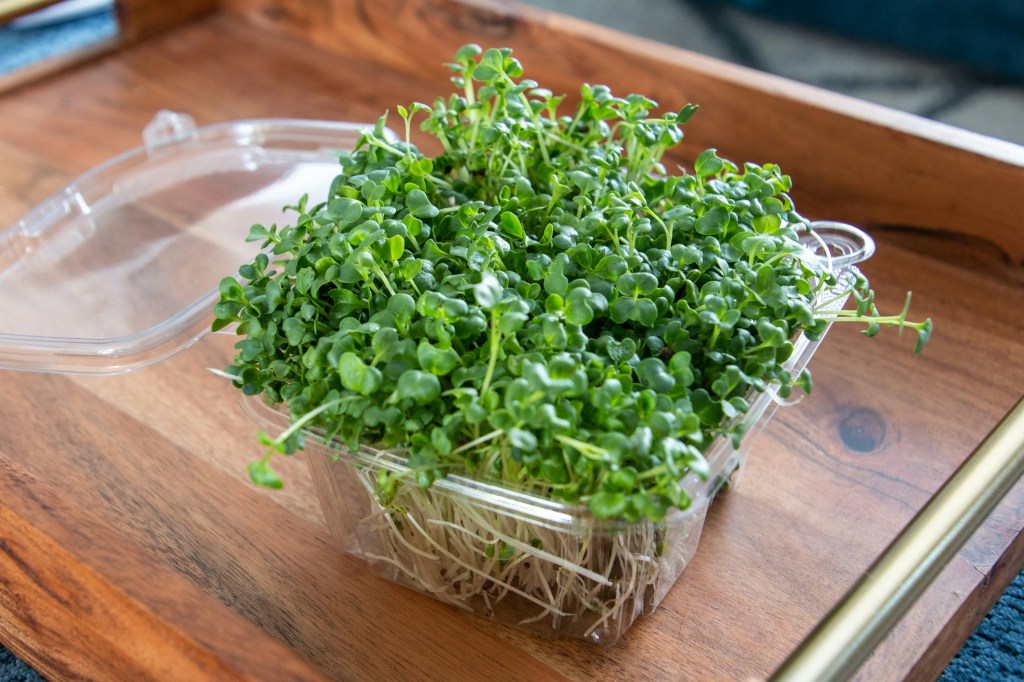 Fresh broccoli microgreens arranged neatly on a wooden tray, showcasing their vibrant green color and delicate texture.