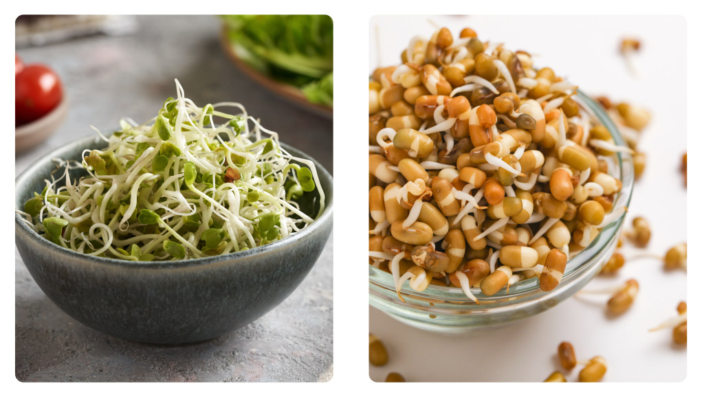 Side-by-side comparison of a bowl of microgreens and a bowl of sprouts placed on a table.

